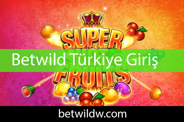 Betwild Türkiye giriş adresi üzerinden Türklere de hizmettedir.